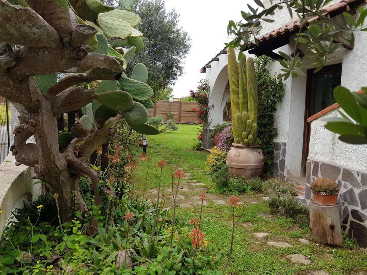 La Limonaia Villa Кастел Волтурно Екстериор снимка